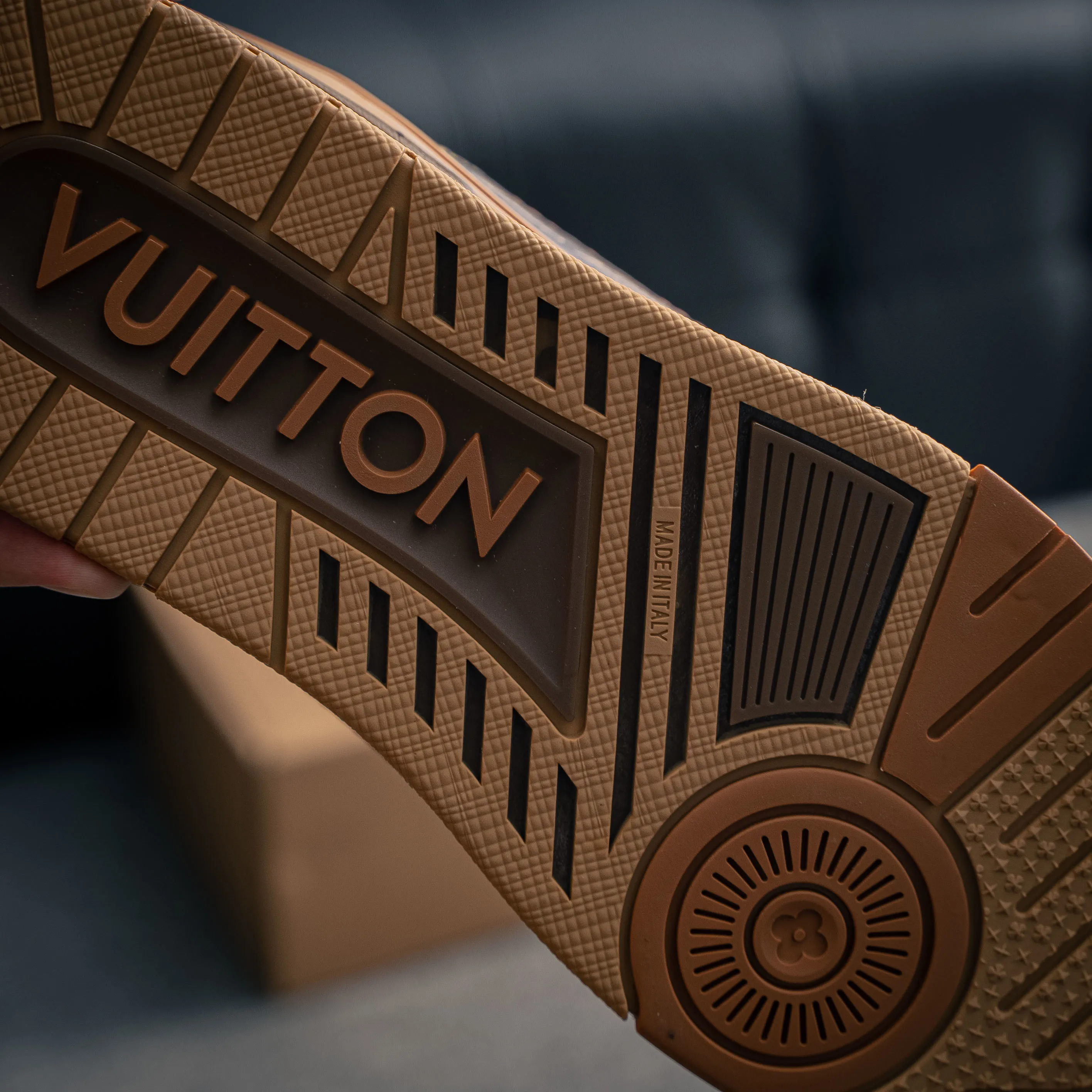 Louis Vuitton Trainer lv Sneakers Shoes Shoes